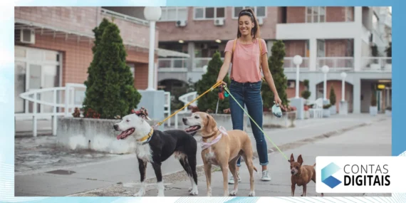 Pet sitter: como transformar cuidados com animais em negócio