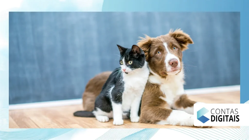 hospedagem para pets