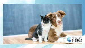 Hospedagem para pets: como funciona esse negócio
